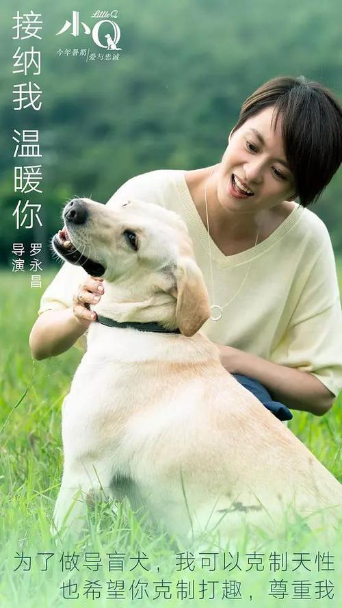 奥克那根大学学院教育部留服认证